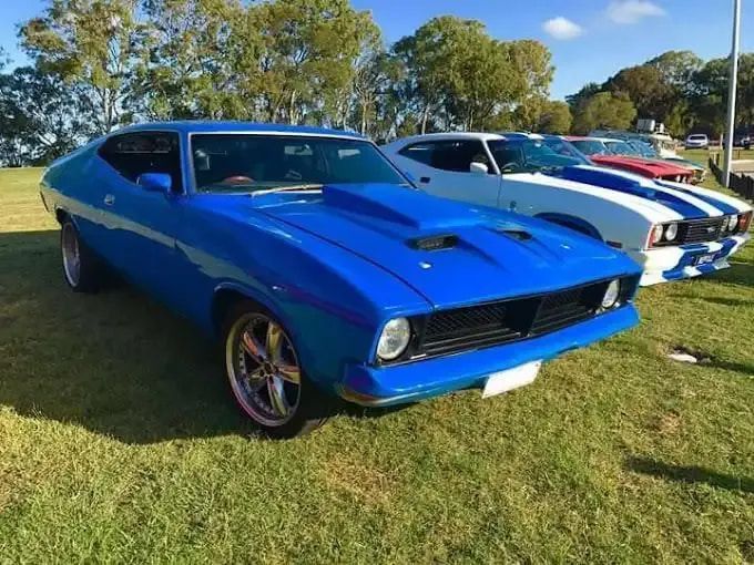 A Row Of Blue And White Cars Are Parked In A Grassy Field — Passfield Automotive and Electrical In Cessnock, NSW