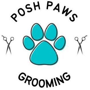 Paws grooming store