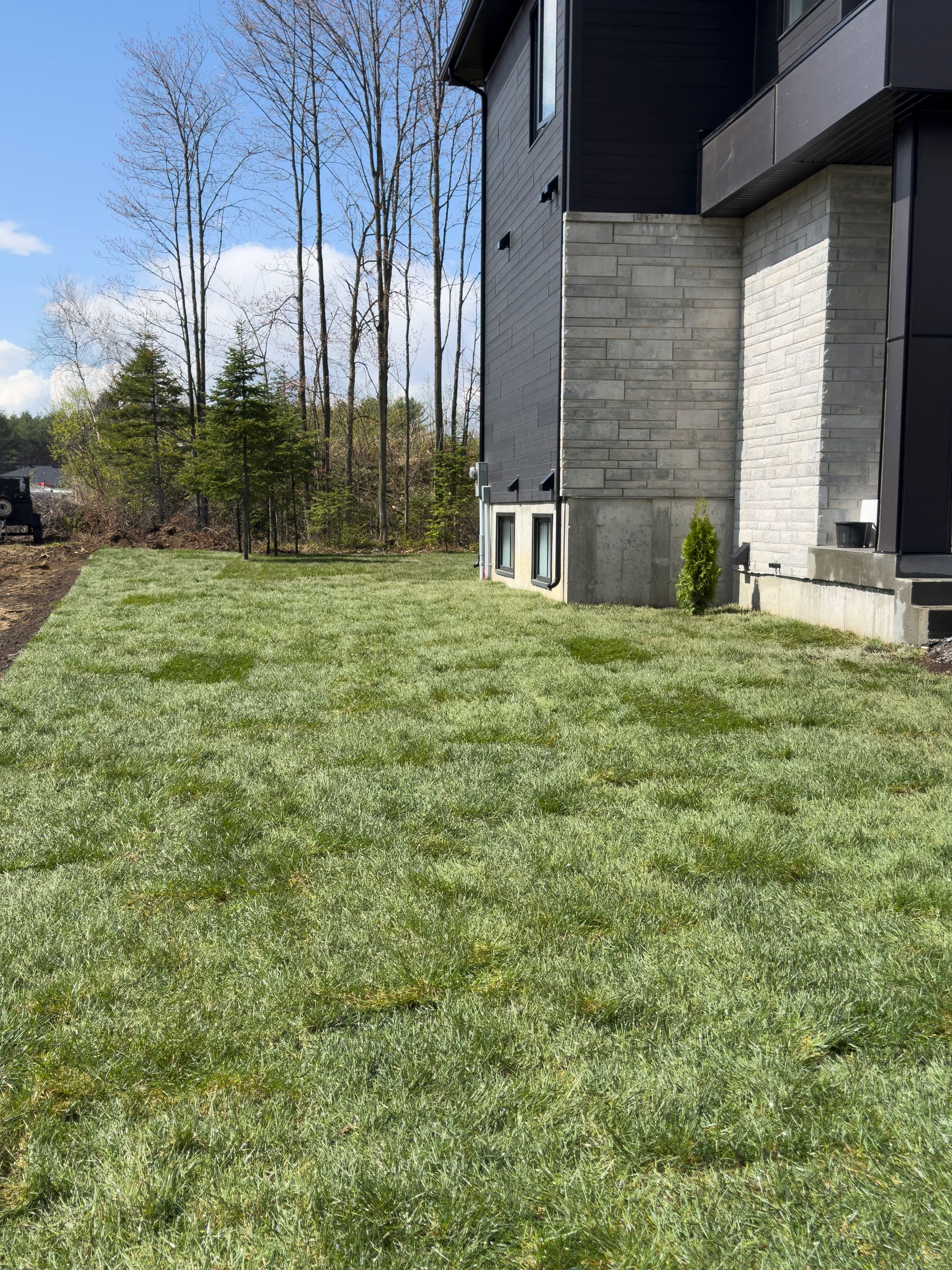Une grande pelouse verte luxuriante devant une maison.