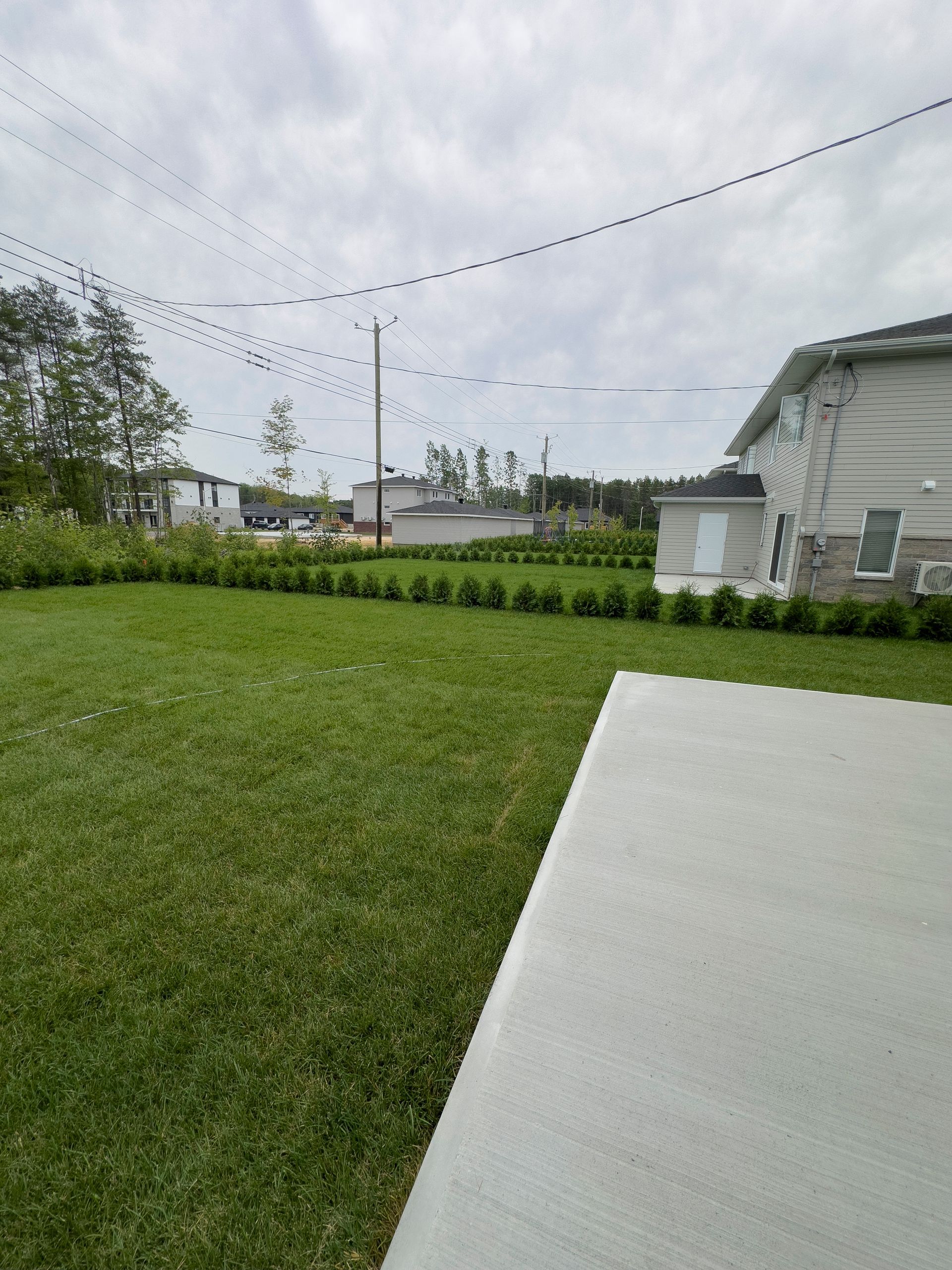 Une pelouse avec une allée en béton et une maison en arrière-plan