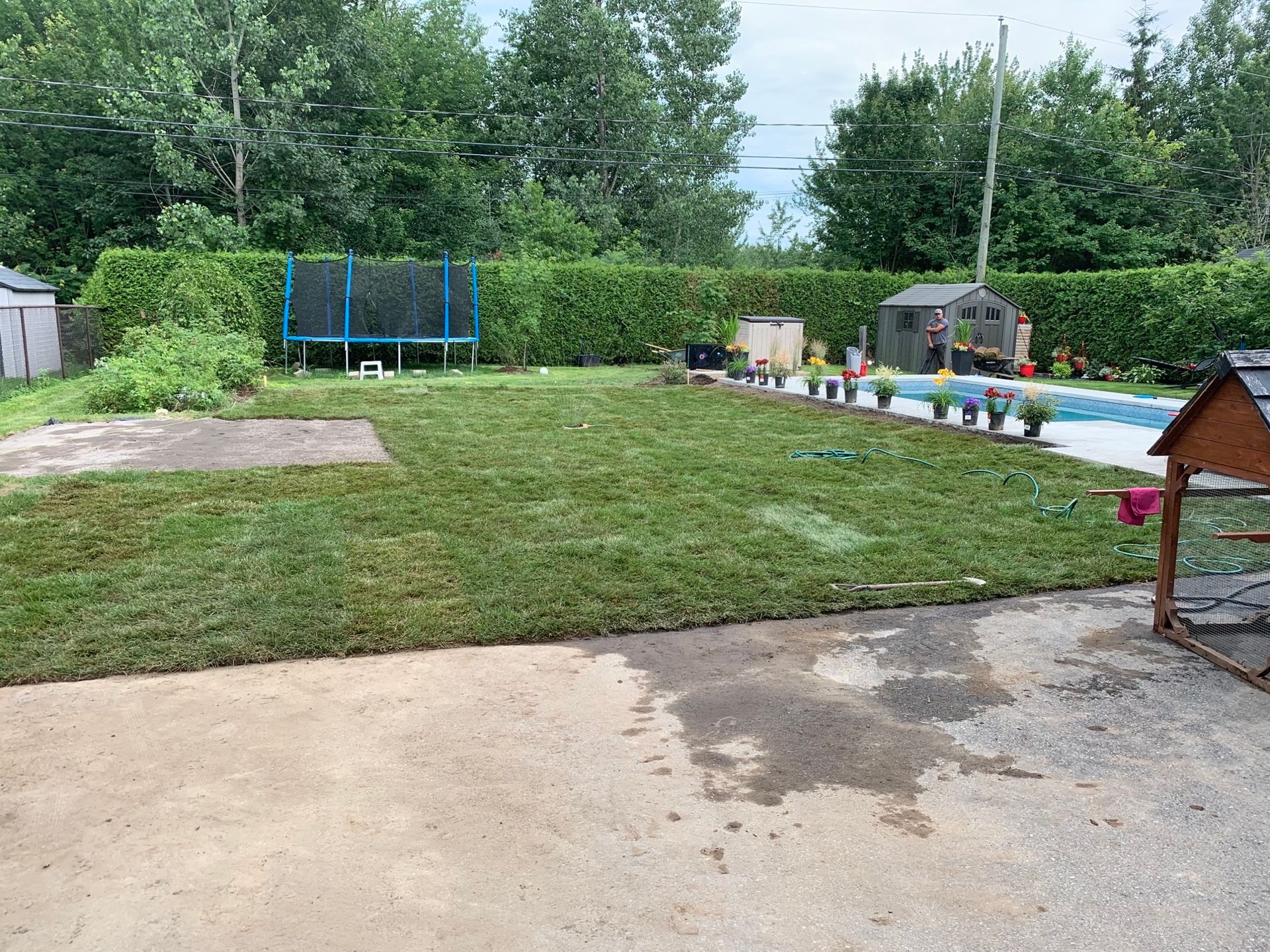 une cour avec un trampoline et une piscine en arrière-plan.