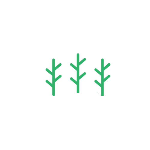 Three green trees are lined up in a row on a white background.