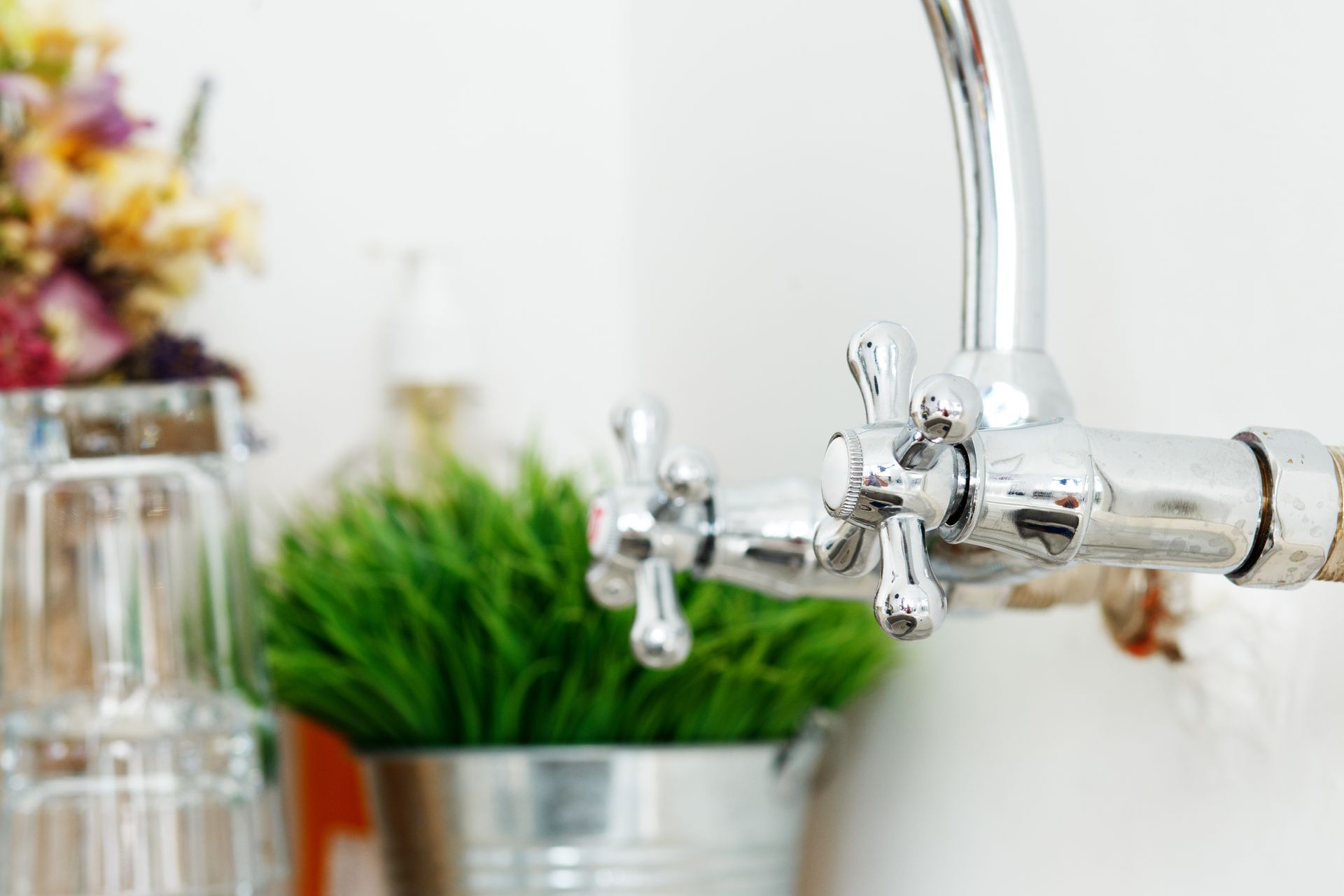 A close up of a kitchen faucet with a potted plant in the background.