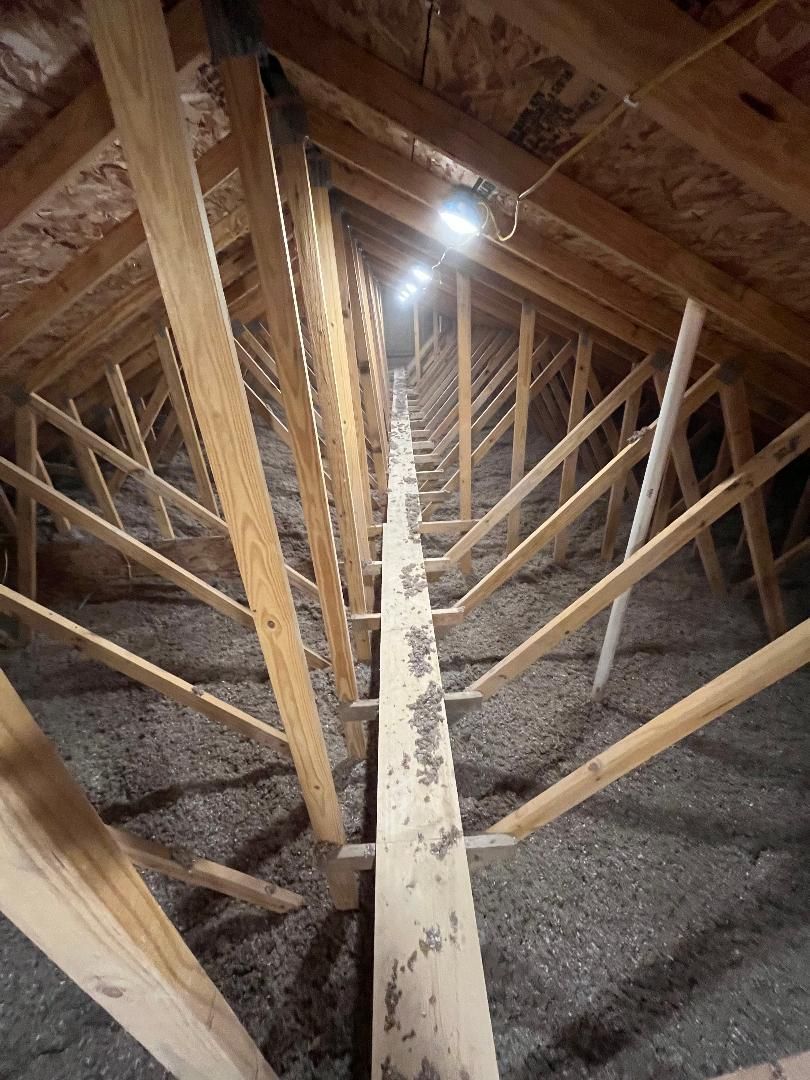 Looking up at the ceiling of an attic with wooden beams and insulation.