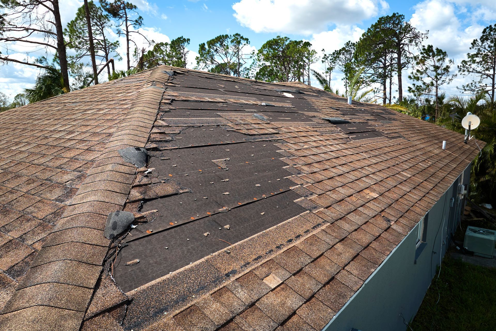 damaged shingle roof