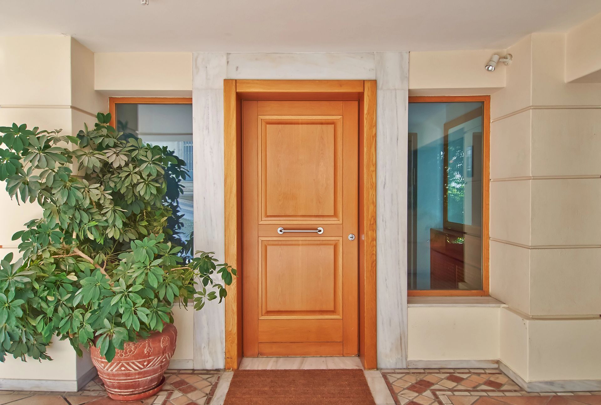 A wooden door with a potted plant in front of it.