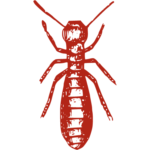 A red drawing of a termite on a white background.