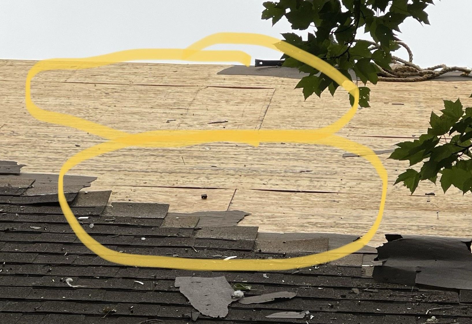 A roof with a yellow circle around it and a tree in the background