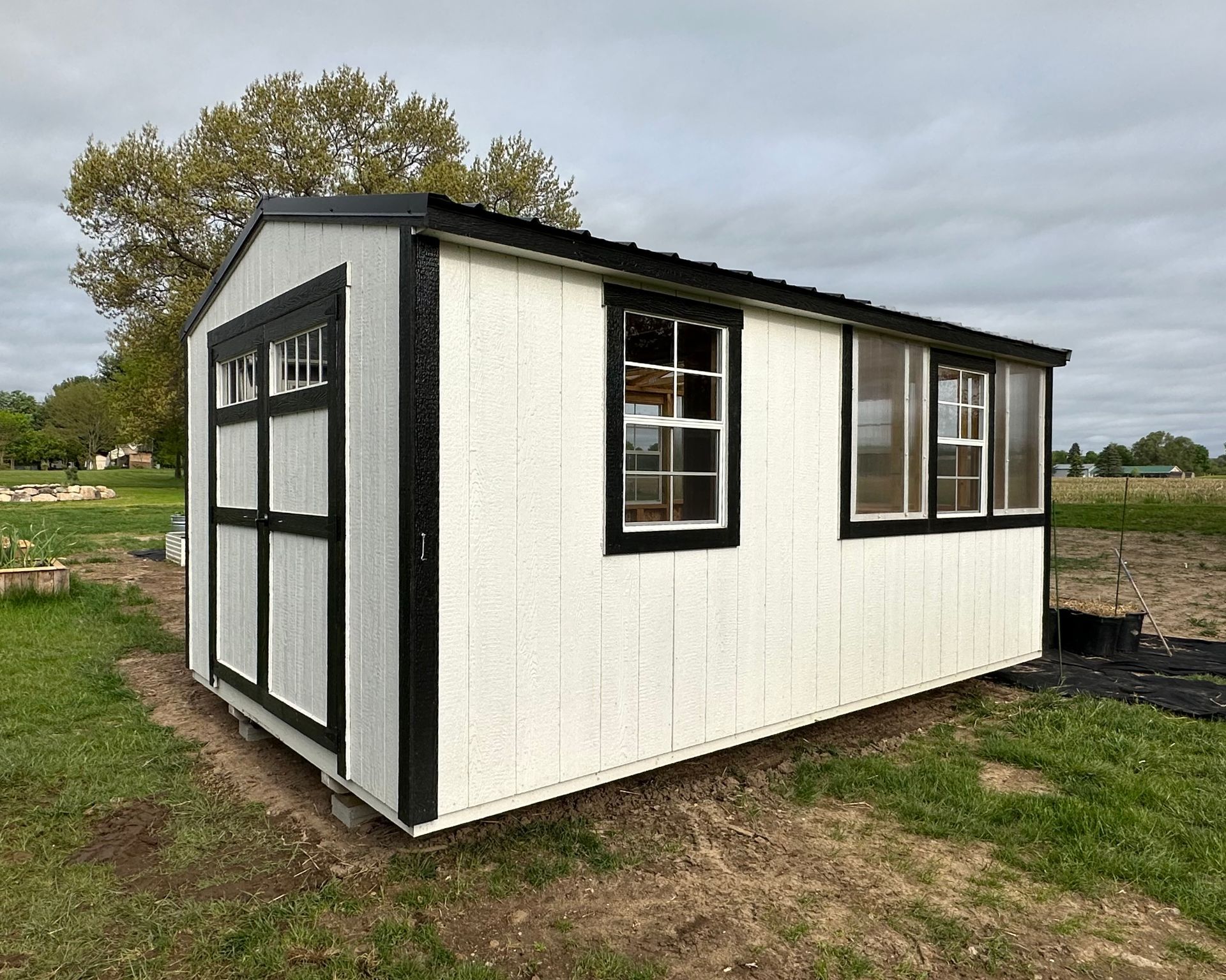 A white shed with black trim and windows is sitting in the middle of a grassy field.