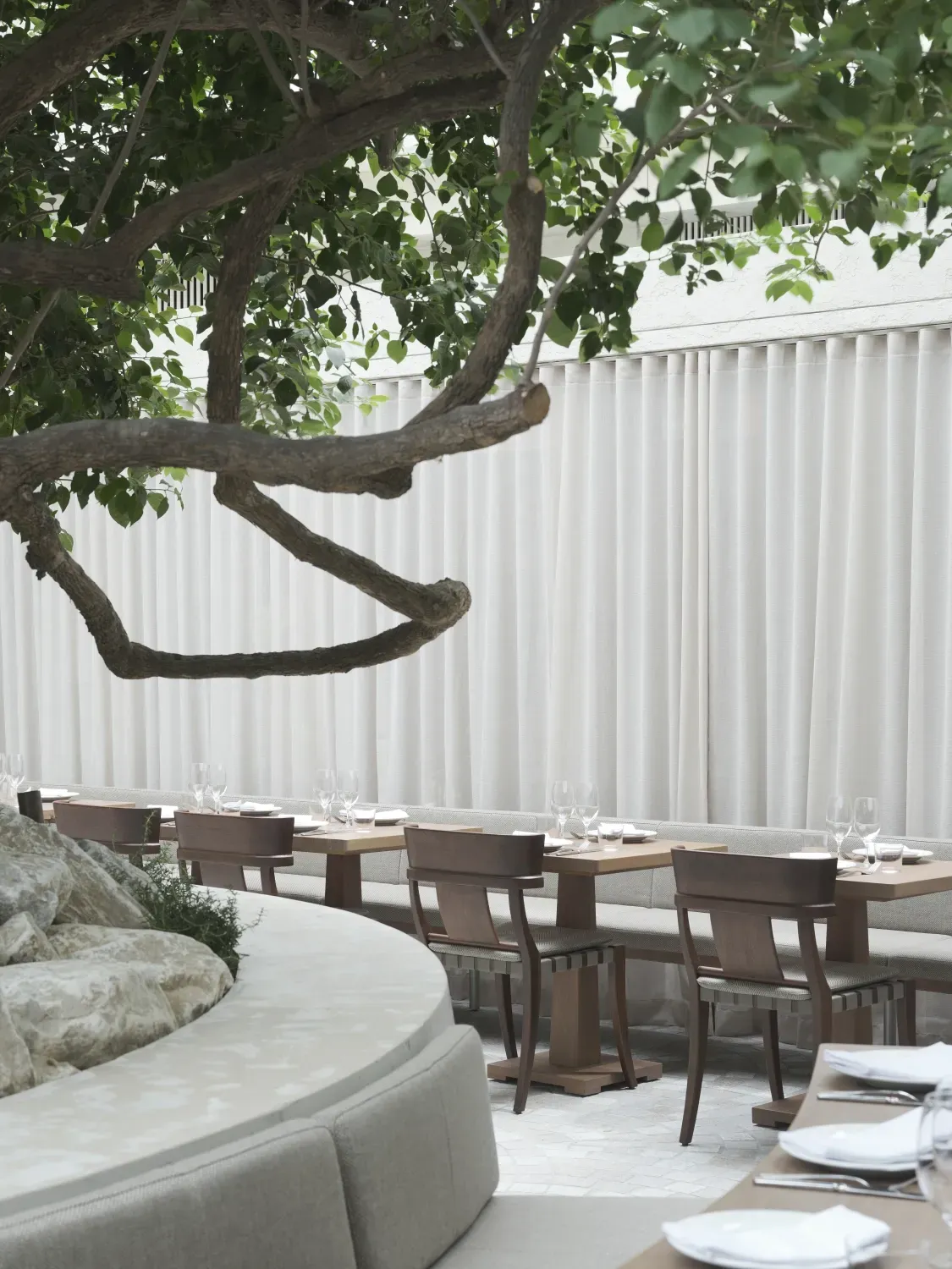 A restaurant with tables and chairs under a tree