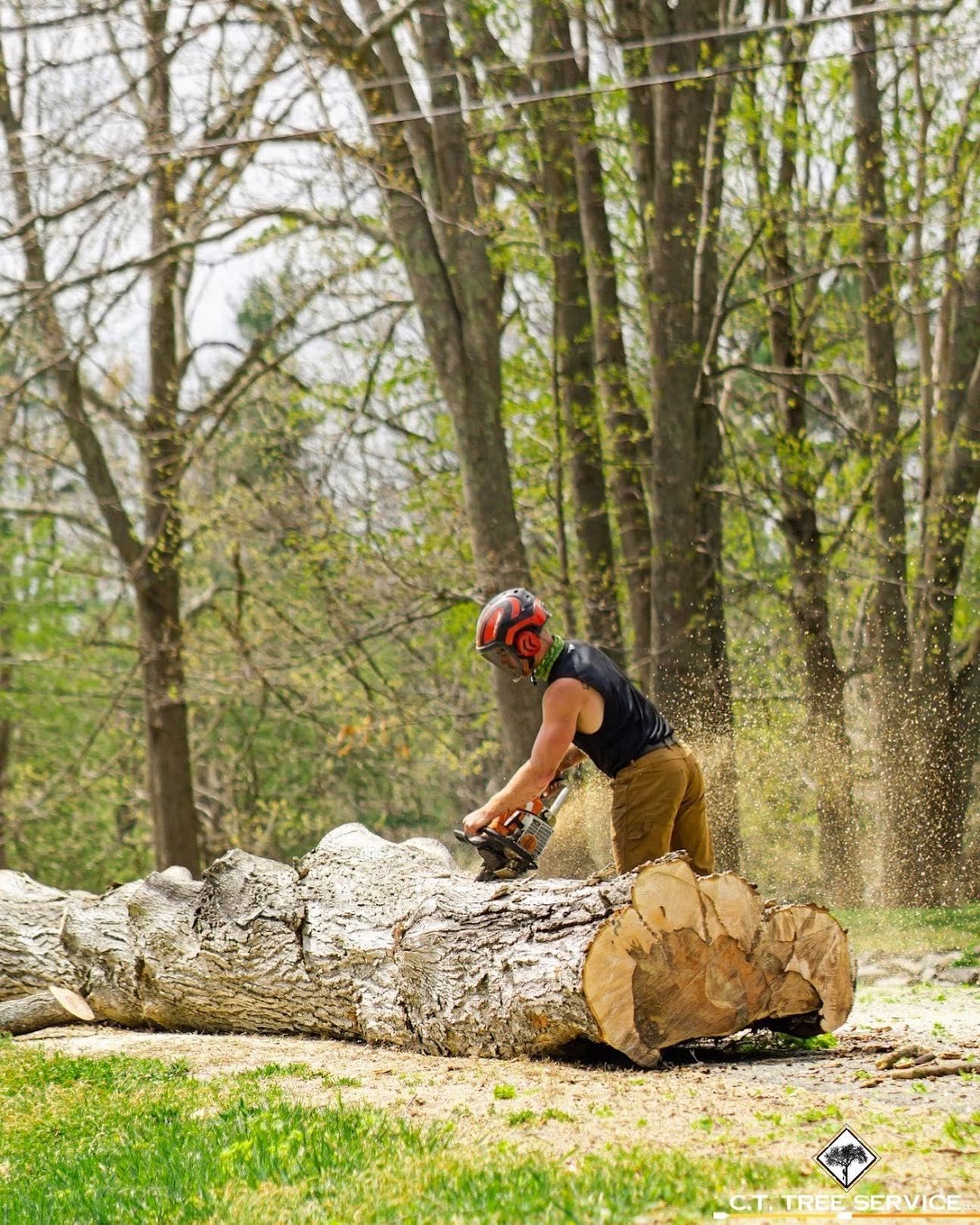 Man with chainsaw cutting a log in a grassy area, trees in background, safety gear visible.