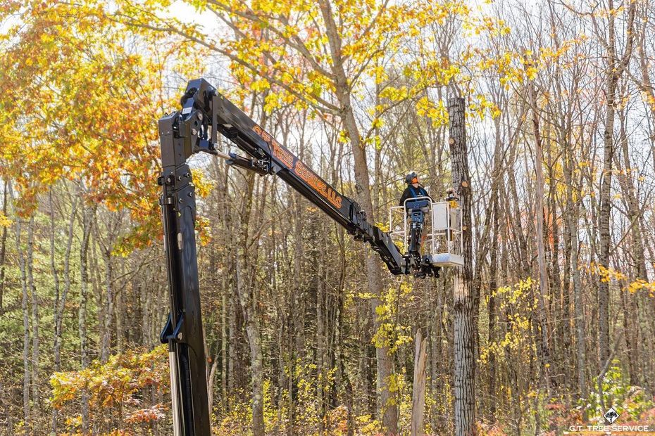 Worker in a boom lift trimming trees in an autumn forest