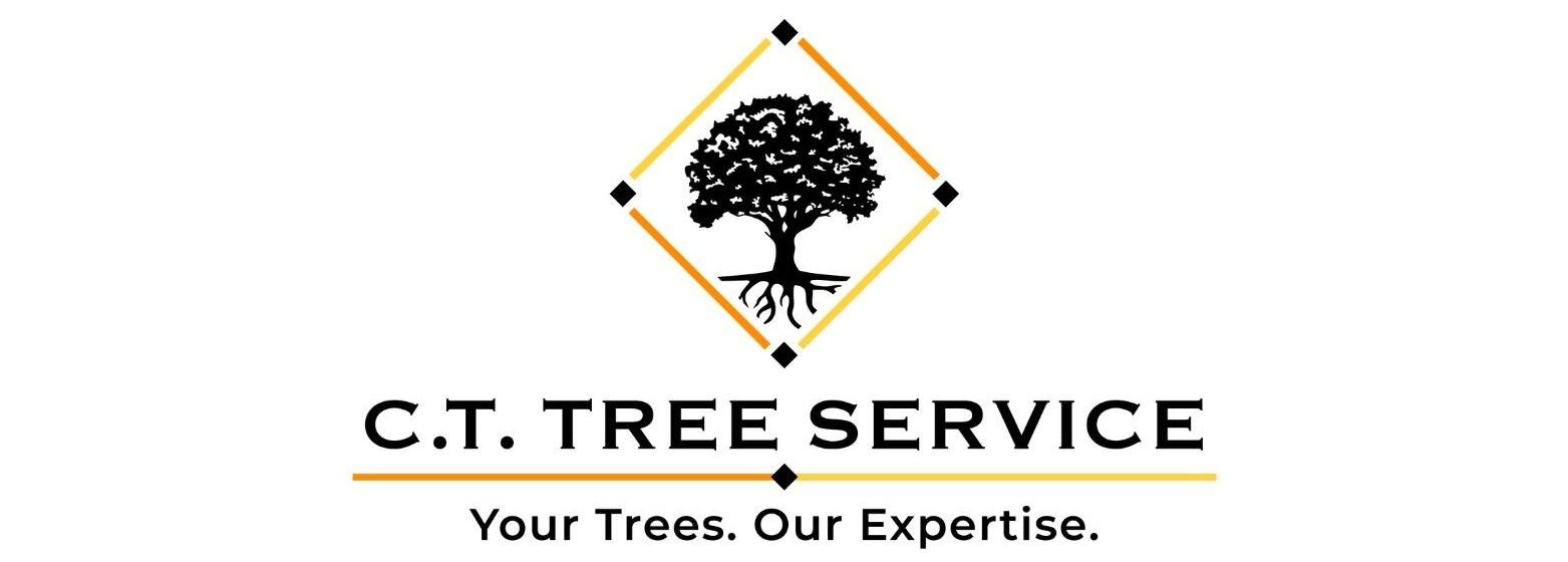 Logo for C.T. Tree Service: tree in a diamond shape above text, "Your Trees, Our Expertise."