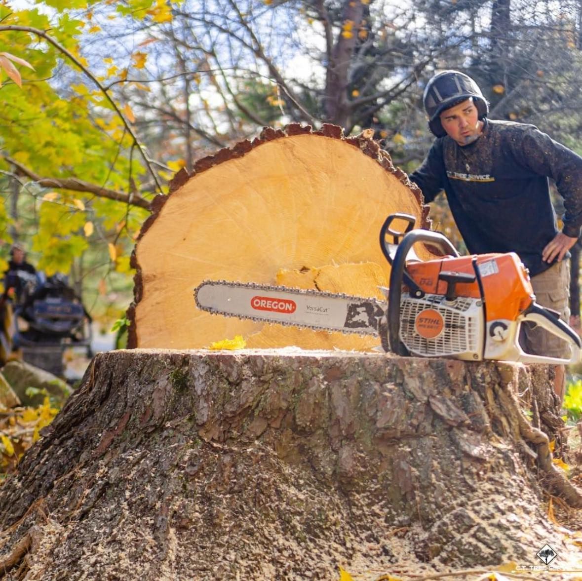 Man with chainsaw stands next to a large tree stump, surrounded by wood shavings in an outdoor setting.
