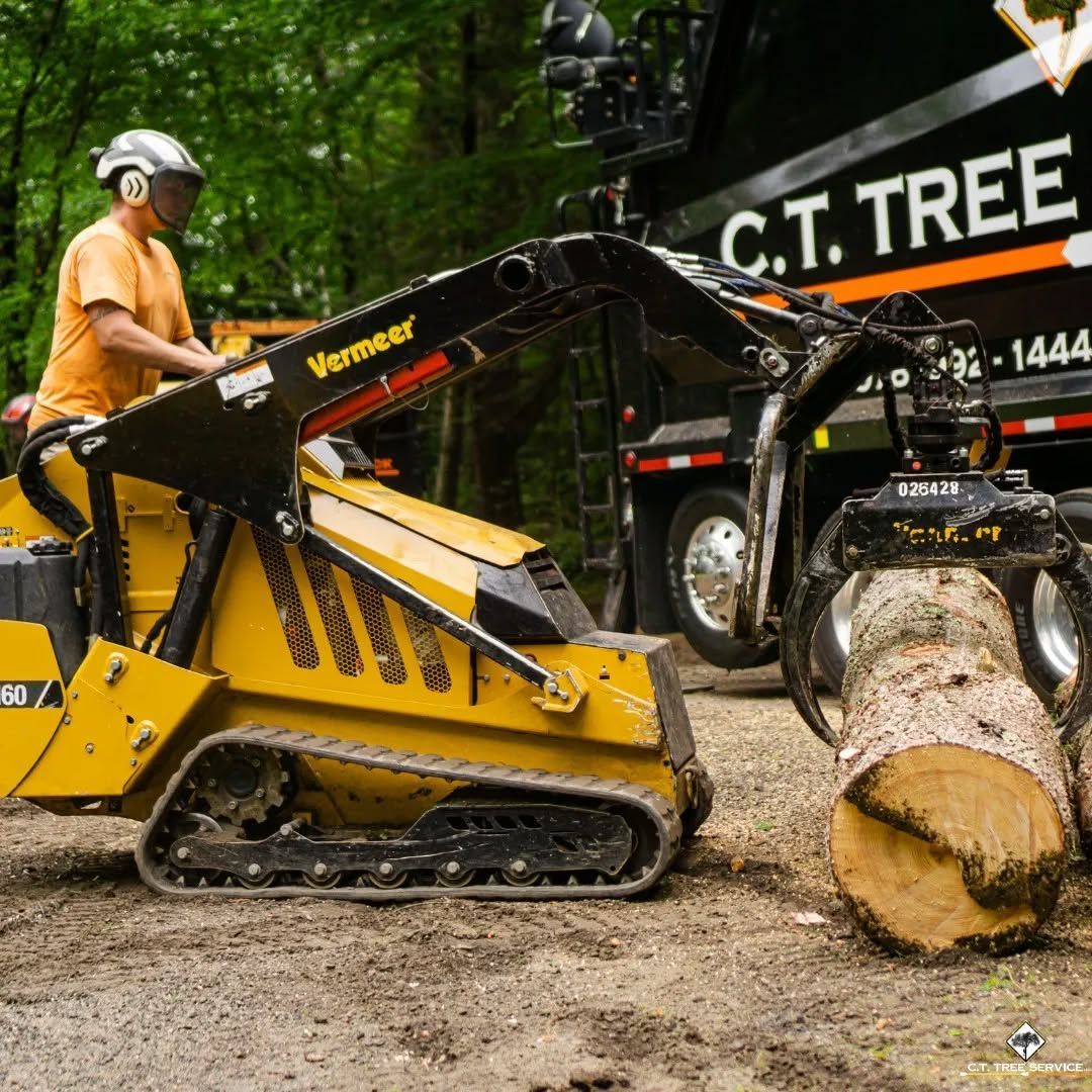 Man operating a yellow Vermeer skid steer with log grabber, near a black and green tree service truck, in a wooded area.