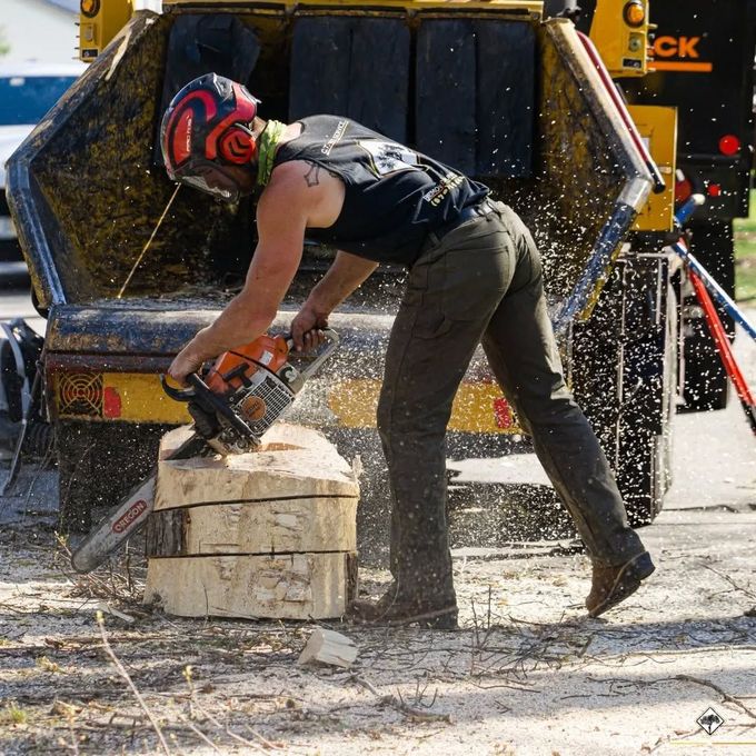Person using a chainsaw to cut wood logs, wearing safety gear, near a wood chipper.