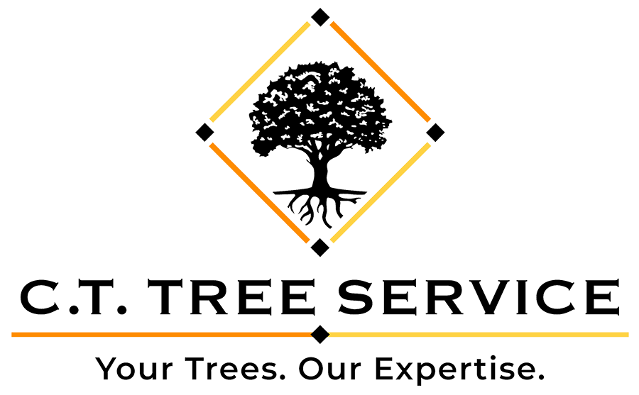 Logo for C.T. Tree Service: tree in a diamond shape above text, "Your Trees, Our Expertise."