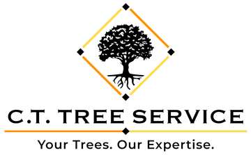 Logo for C.T. Tree Service: tree in a diamond shape above text, "Your Trees, Our Expertise."