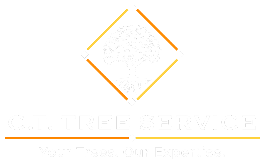 Logo for G.T. Tree Service featuring a tree icon within a diamond shape and company name.