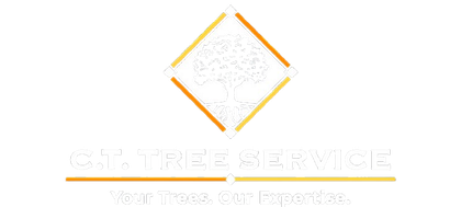 Logo for G.T. Tree Service featuring a tree icon within a diamond shape and company name.