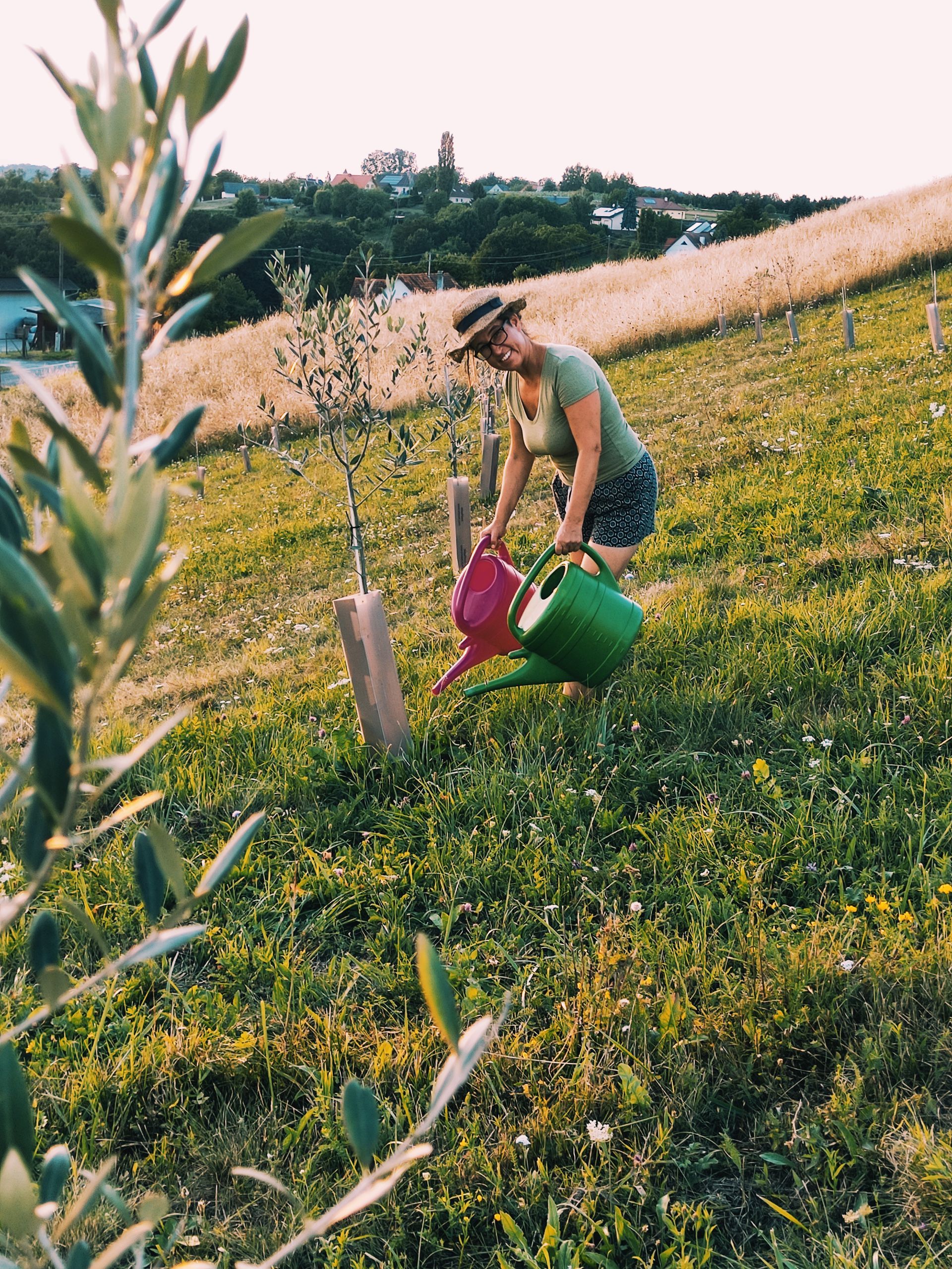 Frau gießt junge Bäume an einem grasbewachsenen Hang, hält rosa und grüne Gießkannen, Olivenzweig im Vordergrund.