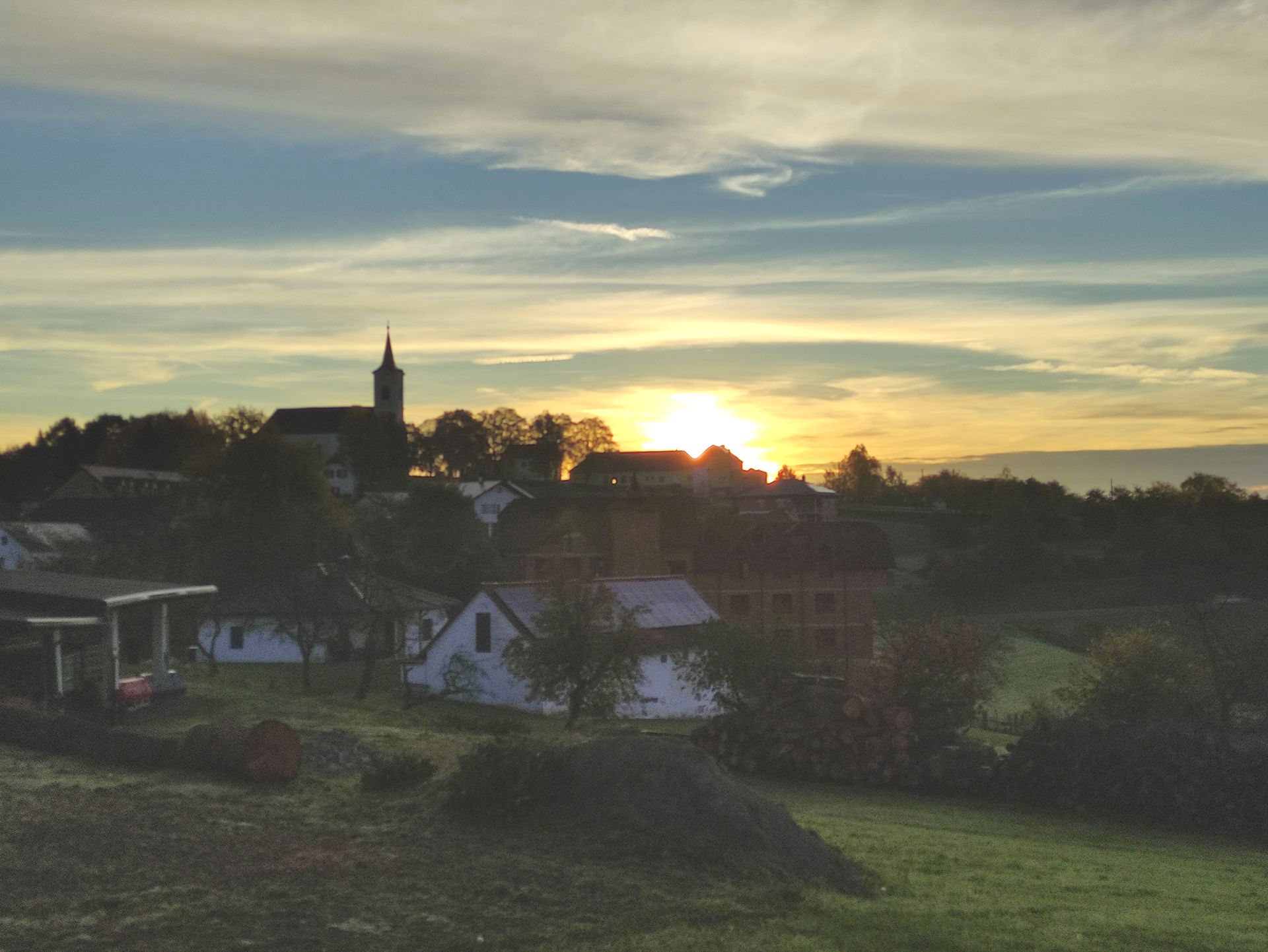 Zwei Schafe grasen in einem Weinberg mit grünen Reben unter blauem Himmel.