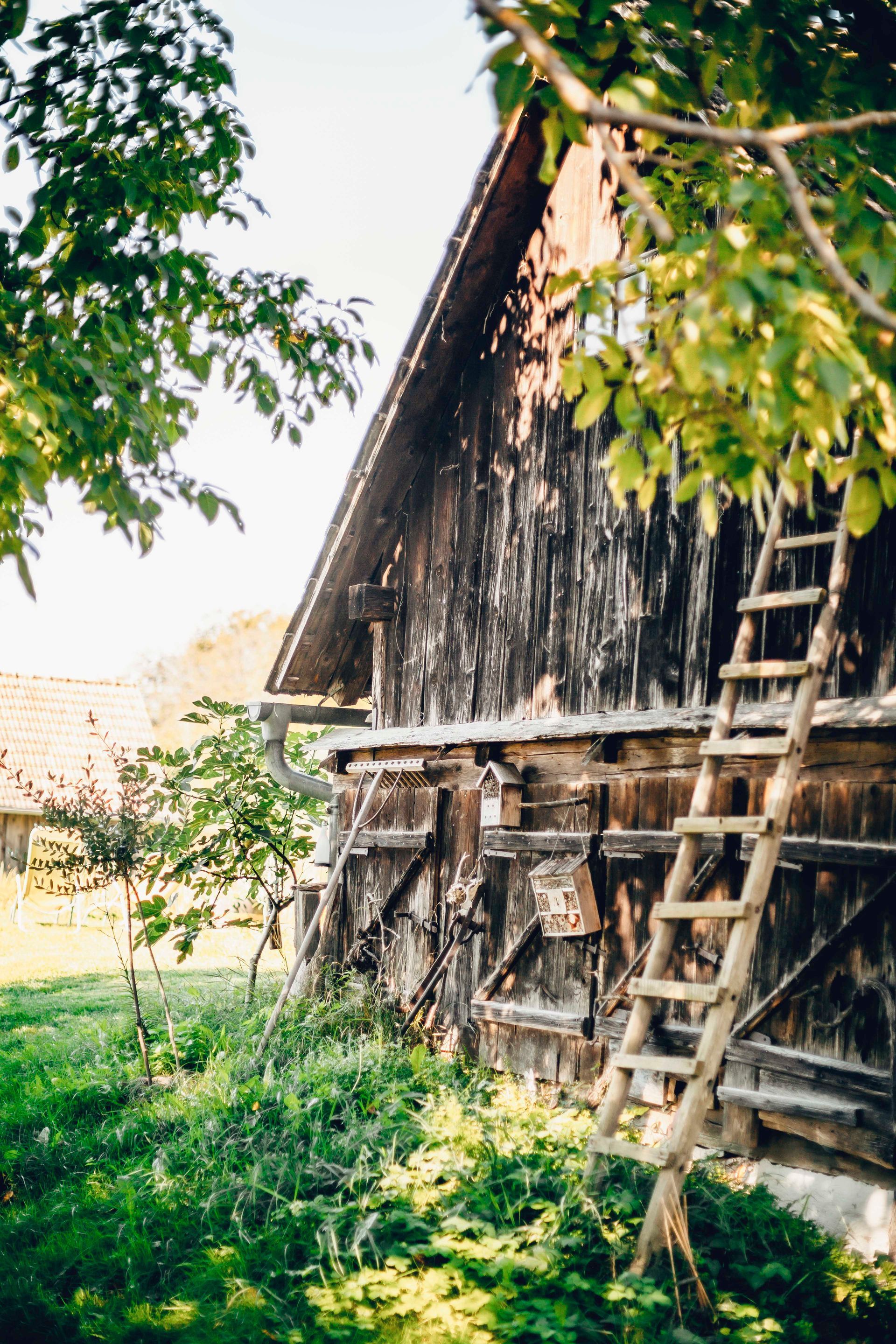 Alte Holzscheune mit Leiter, eingebettet ins Grüne.