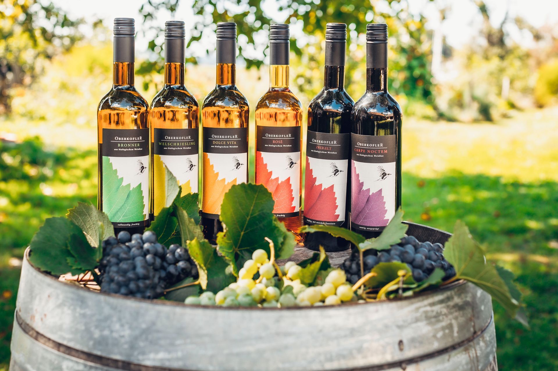 Sechs Weinflaschen auf einem Fass mit Trauben und Blättern, bunte Etiketten, im Freien.