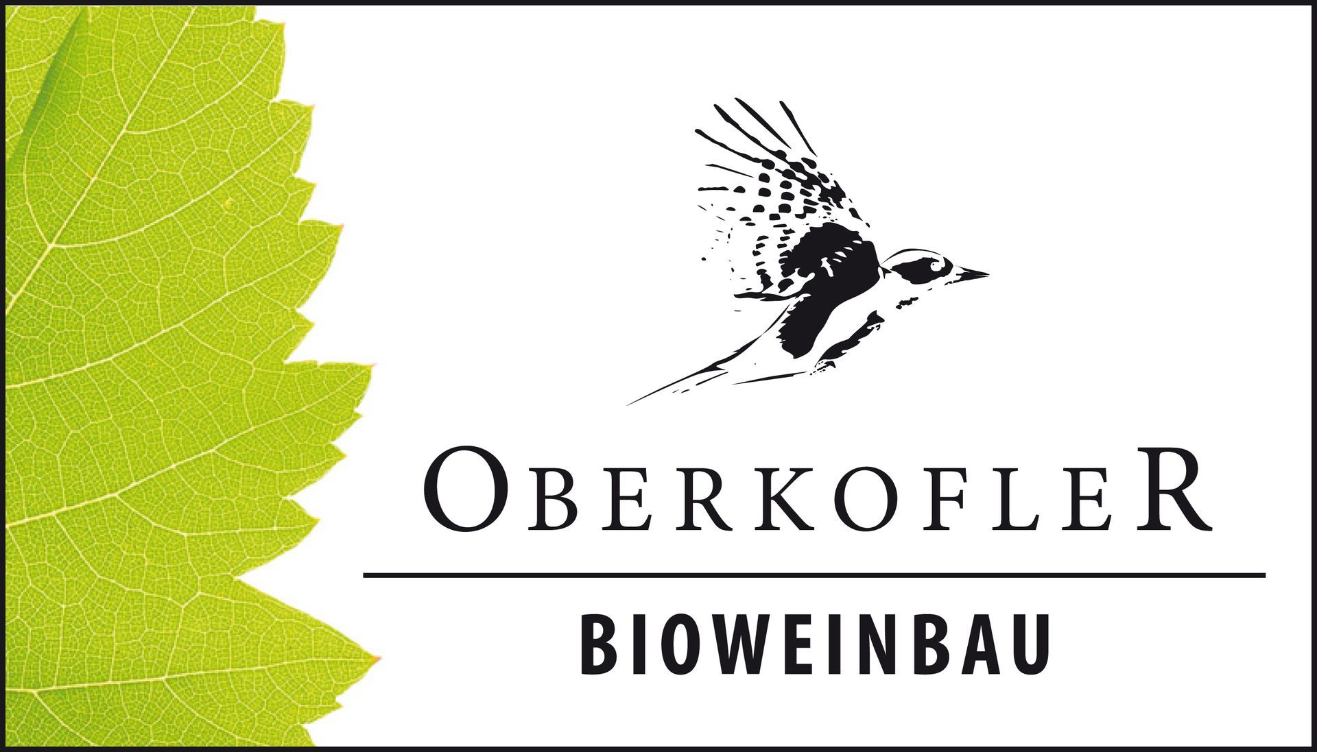 Biowein & Bio-Oliven vom Bioweinbau Oberkofler in Weichselbaum.