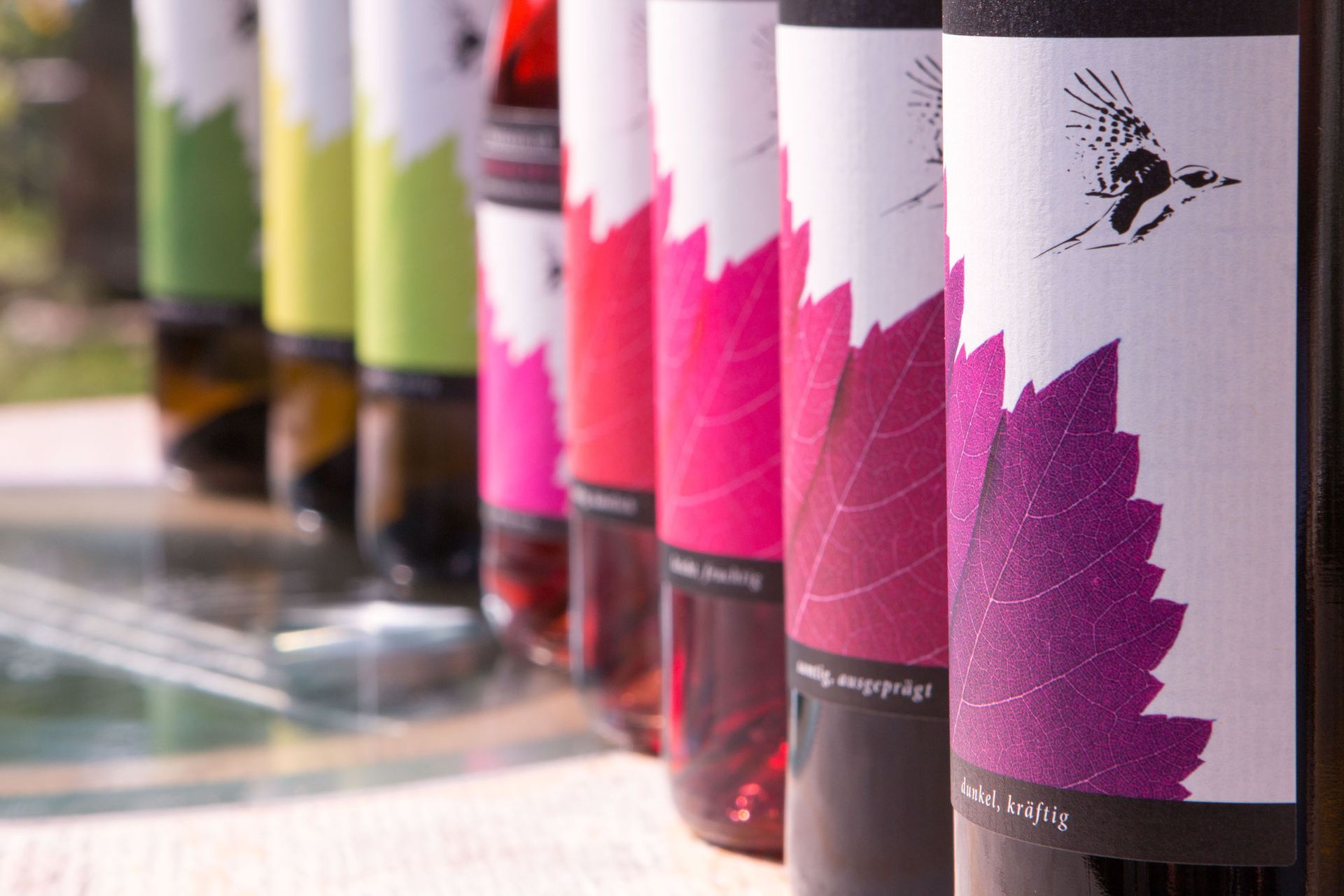 Im Freien aufgereiht stehen Weinflaschen mit farbenfrohen Etiketten, die ein Blattmotiv zeigen.