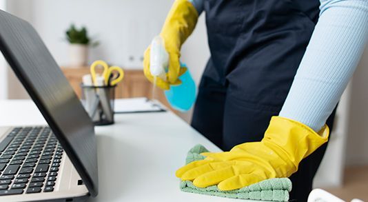 Customized cleaning services