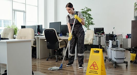 professional cleaning service in Norwalk