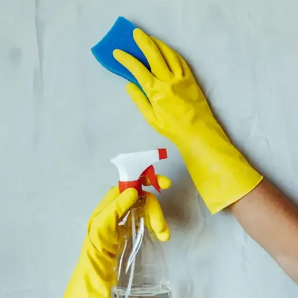 Hands with gloves cleaning interior wall with sponge and spray bottle