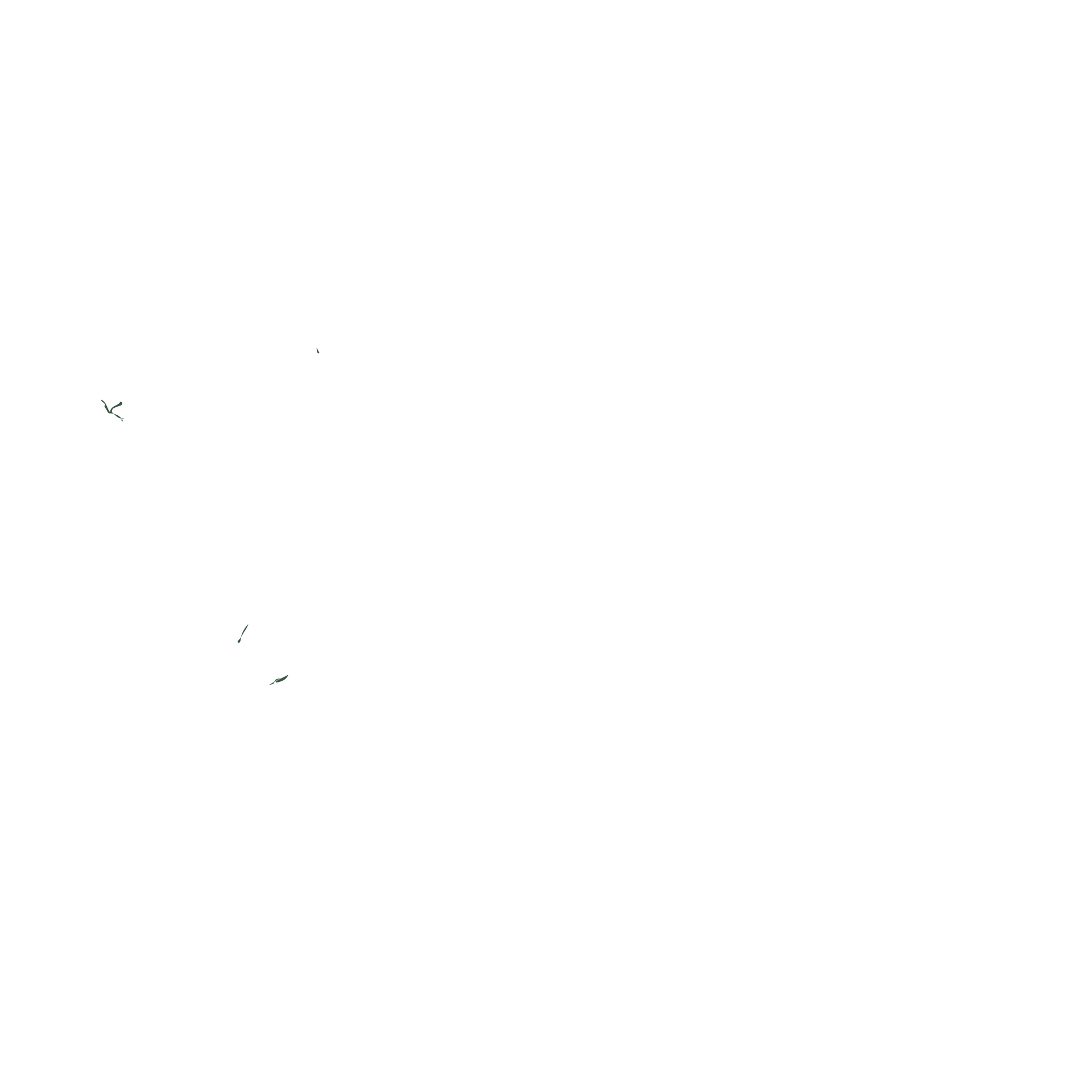 Circled, White Logo for Big Tree Construction, a Home Contractor in Central Missouri