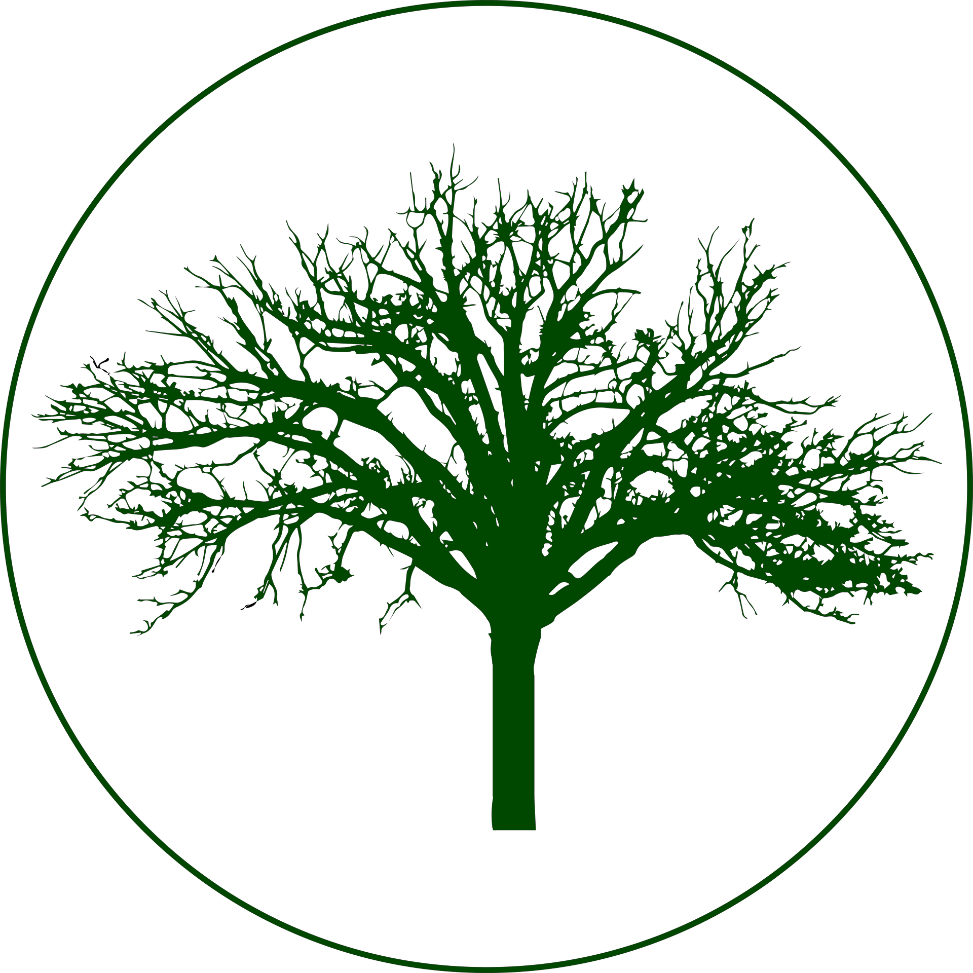 Circled Green Logo for Big Tree Construction | Call Our Home Contractors in Mid-MO Today