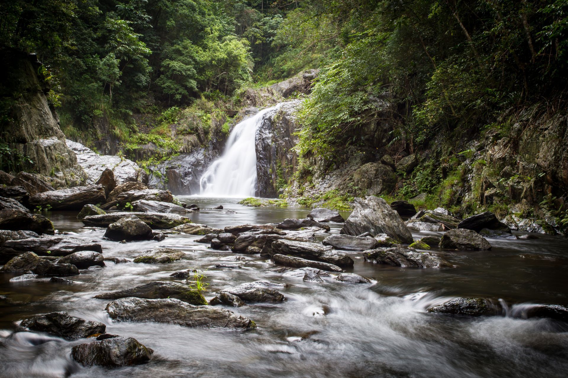 Waterfall Cascading Into a Rocky Stream, Surrounded by Lush Green Vegetation — FNQ Cleaning Services in Kanimbla, QLD