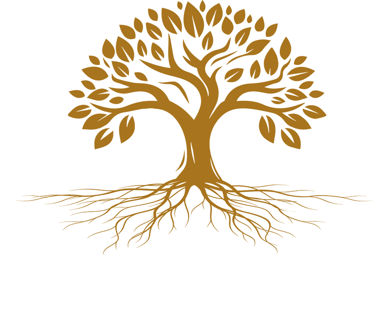 A tree with roots and leaves on a white background.