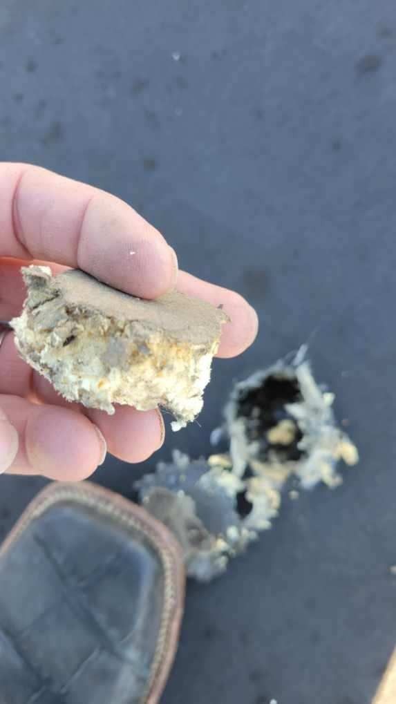 A person is holding a piece of bread in their hand.