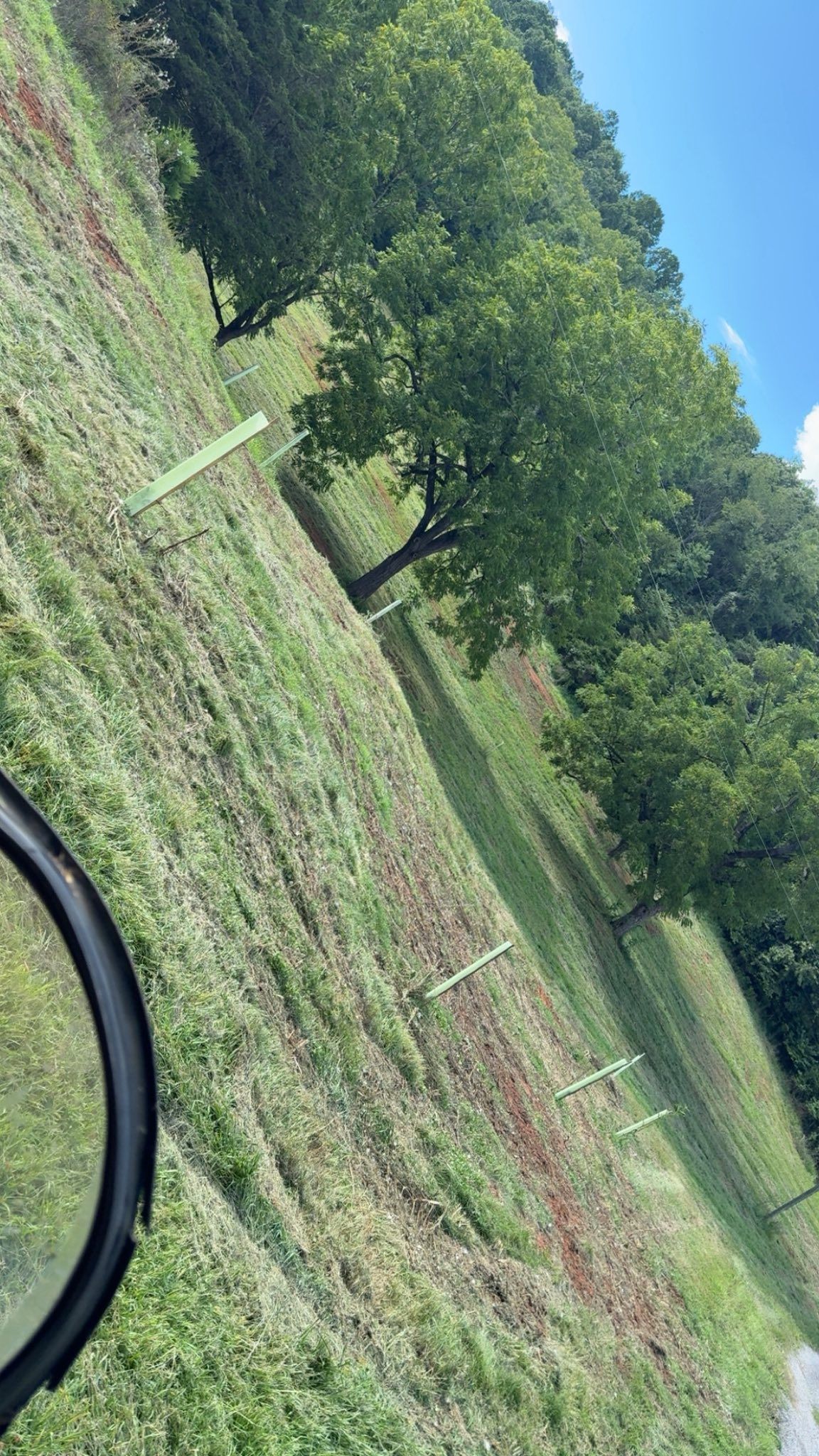 A bicycle wheel in frame, view of a grassy hillside with trees, green and brown hues, bright sky.
