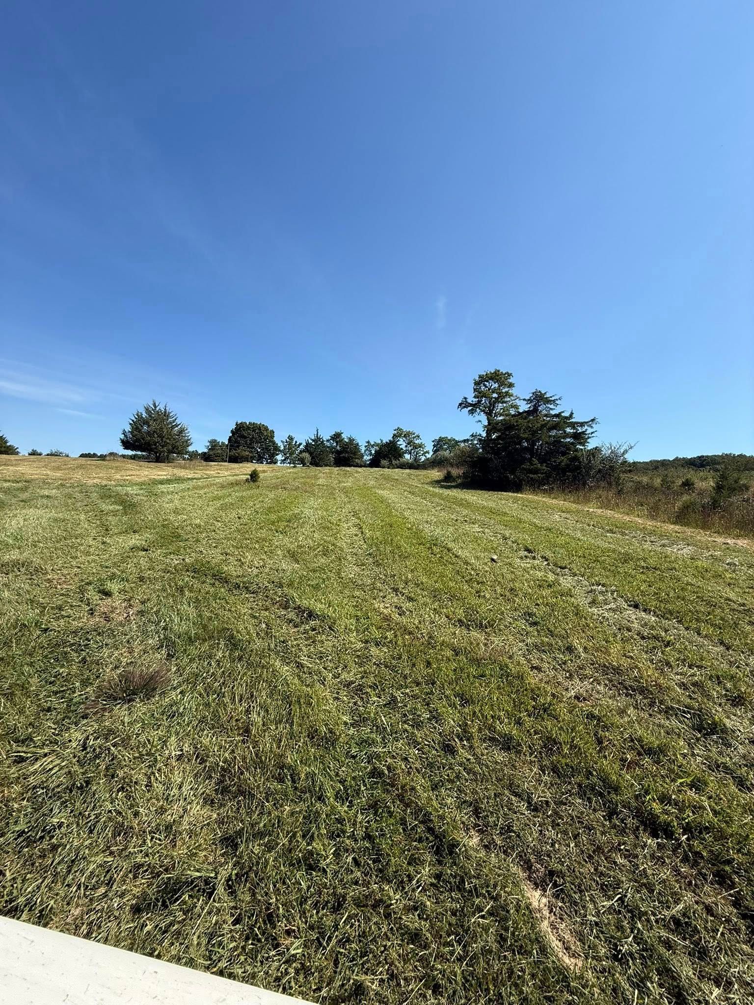 Green field with trees under a blue sky.