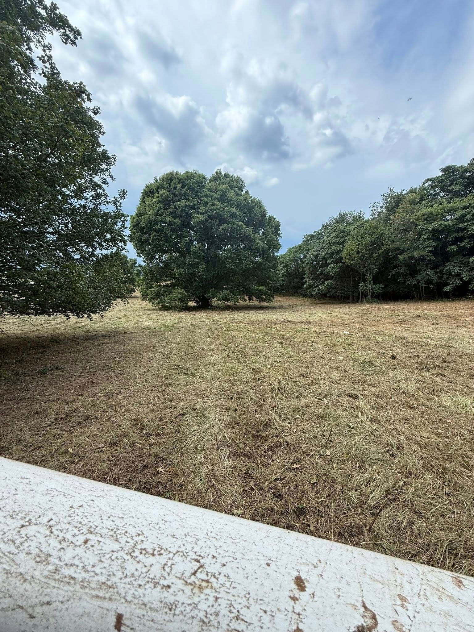 Field with brown ground cover, surrounded by green trees under a partly cloudy sky.