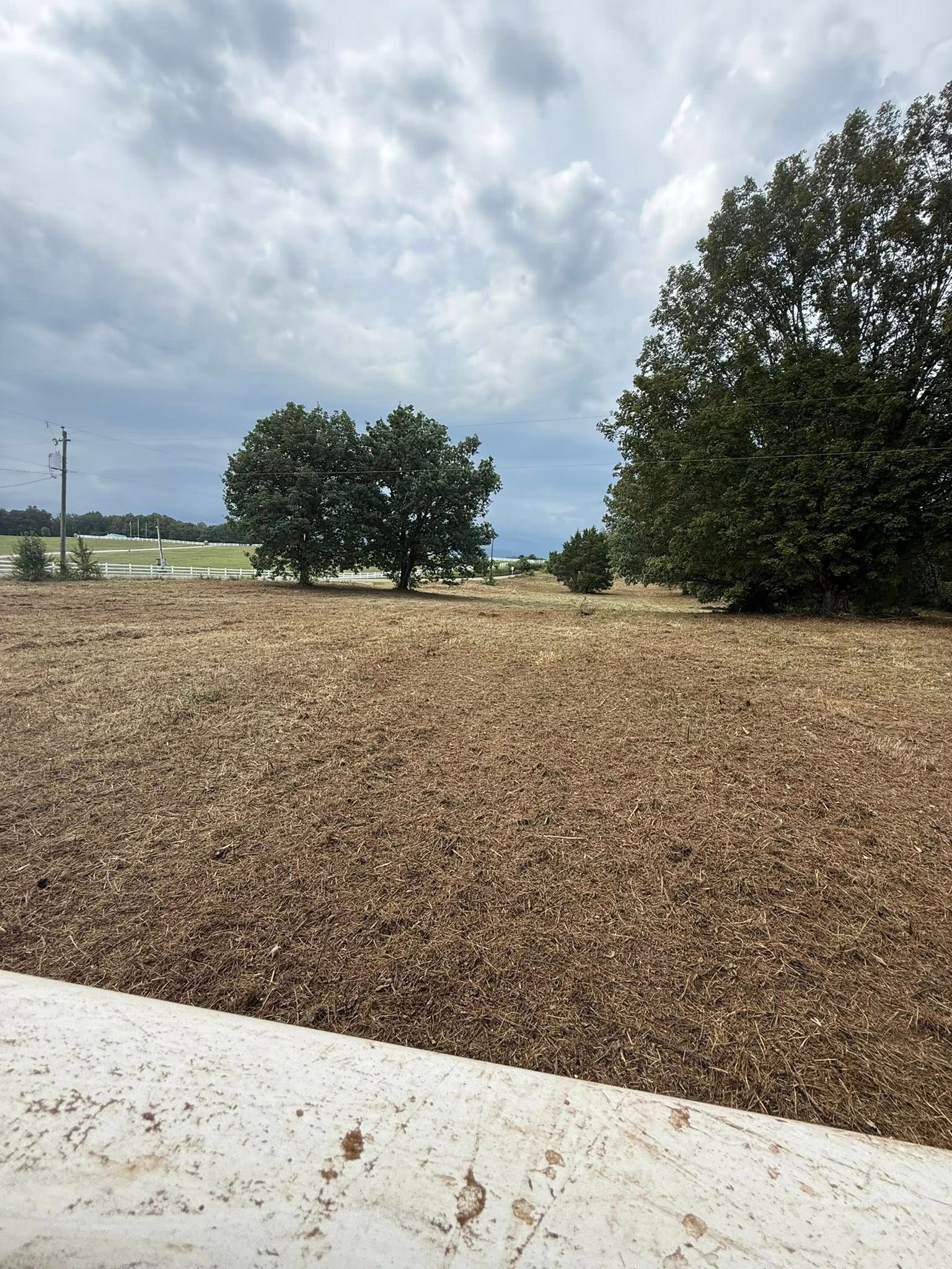 Brown ground cover under cloudy sky with two trees; a concrete ledge in the foreground.