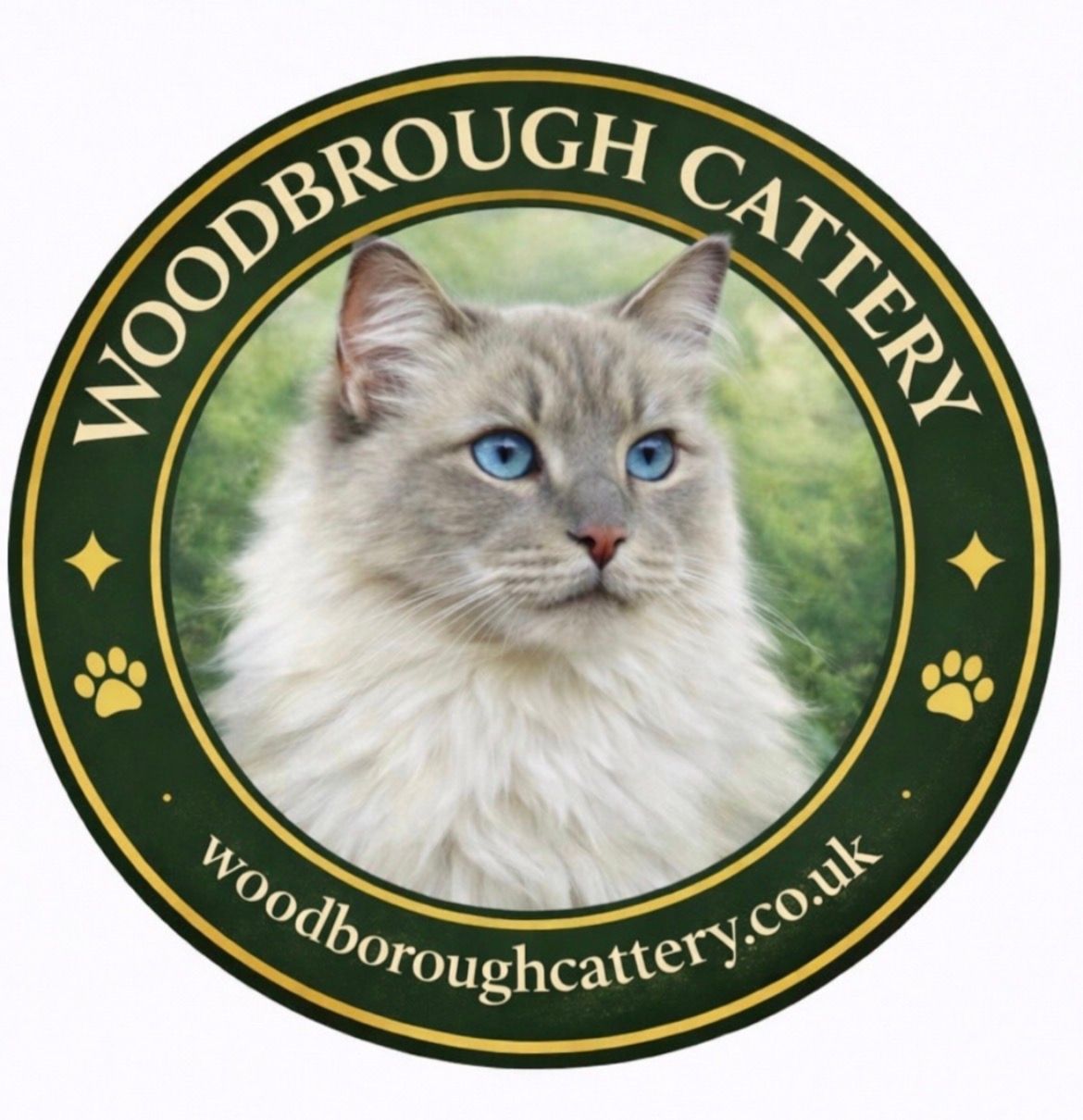 Woodborough Cattery near Bath Frome Radstock Midsomer Norton
