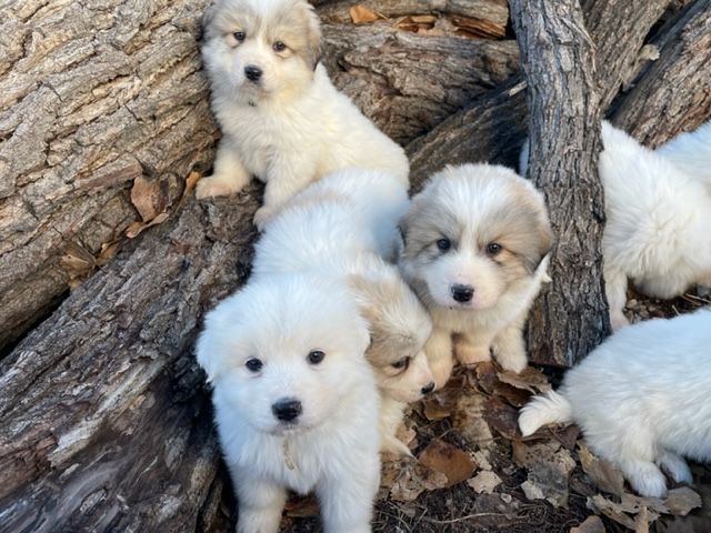 The New Year at Vision Farms