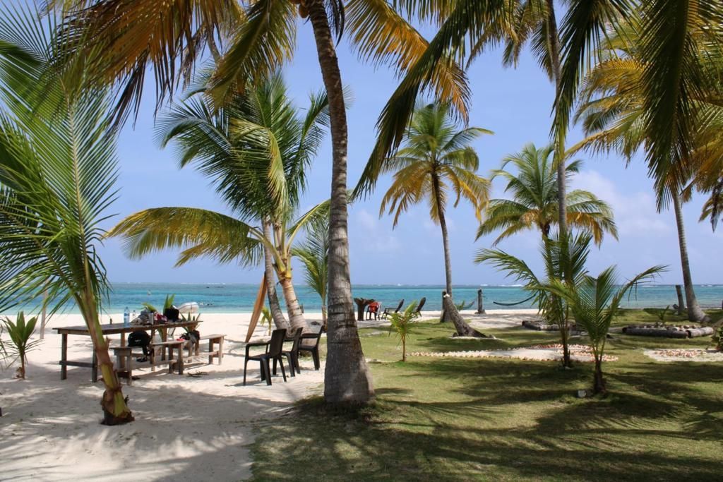 A tropical beach with palm trees and tables and chairs