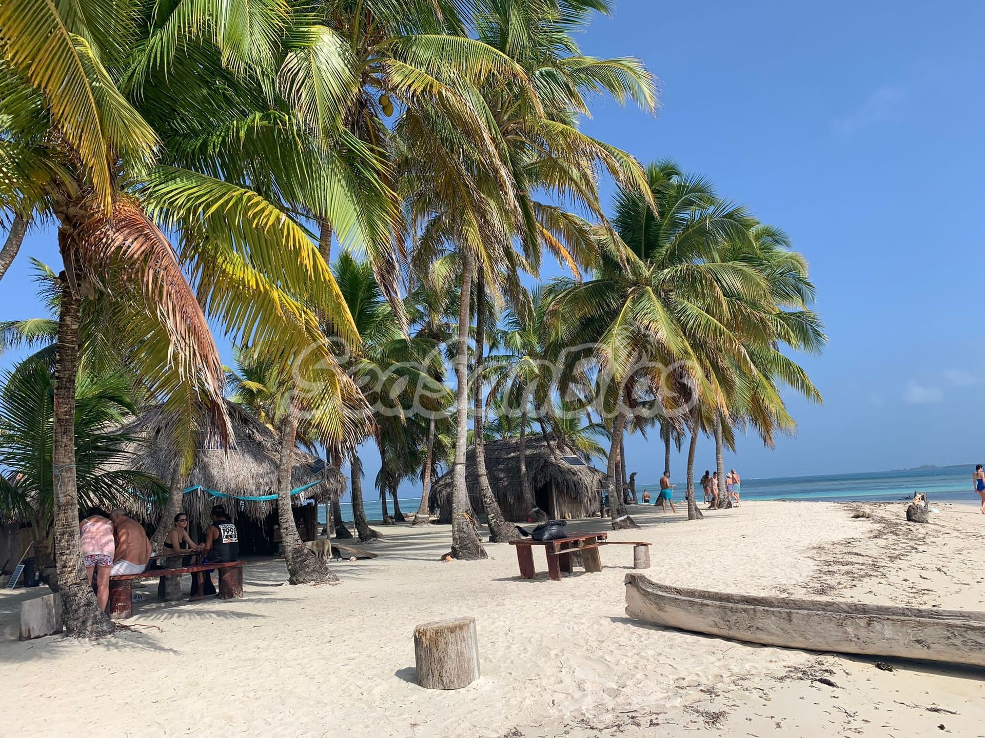 Sun shining on palm trees and sand on Yanis island in san blas