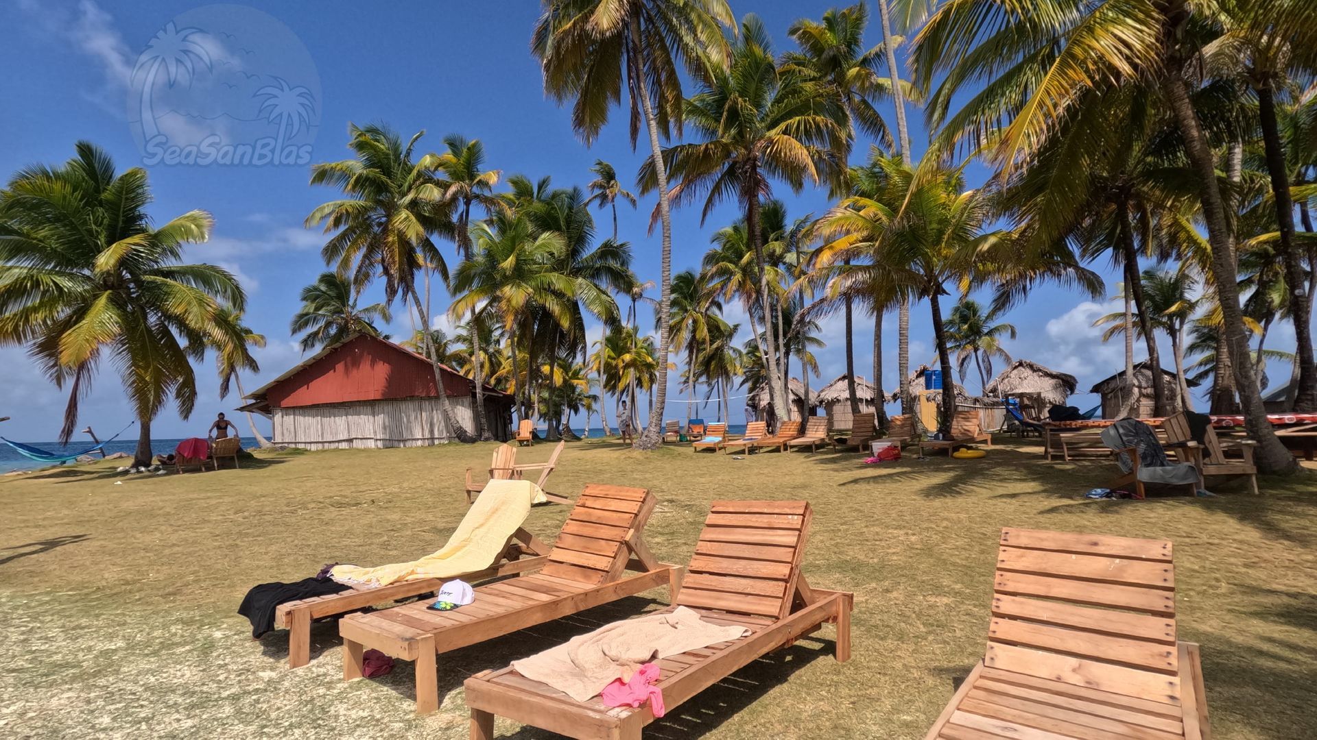 a thatched hut sits on a sandy beach surrounded by palm trees on franklin island