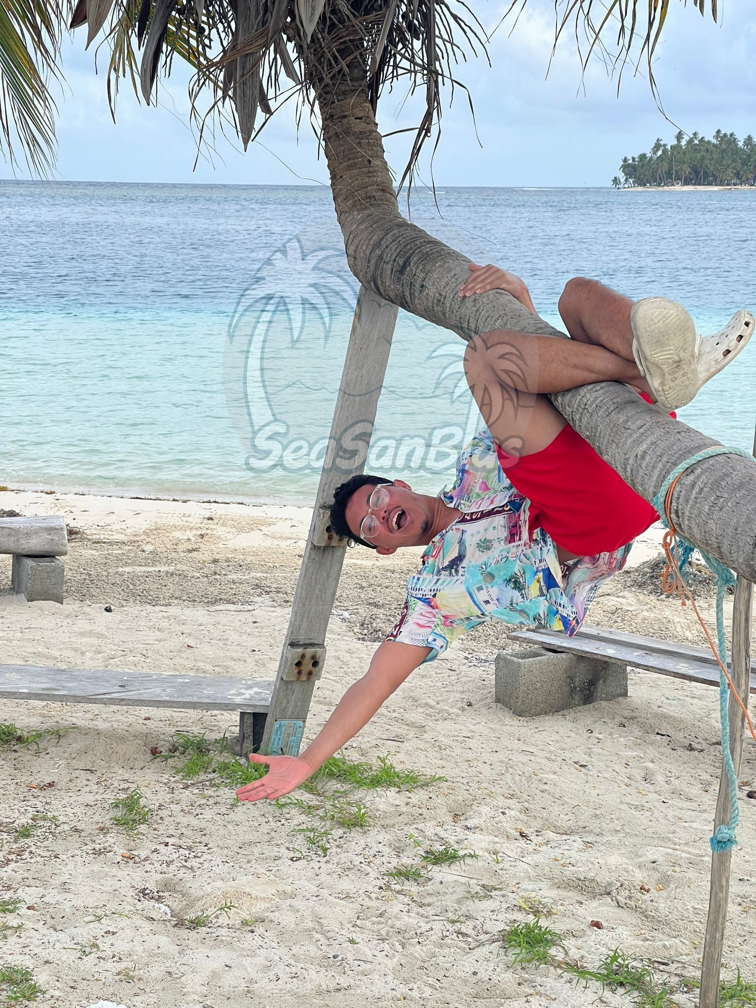 a man is hanging upside down from a palm tree on the beach