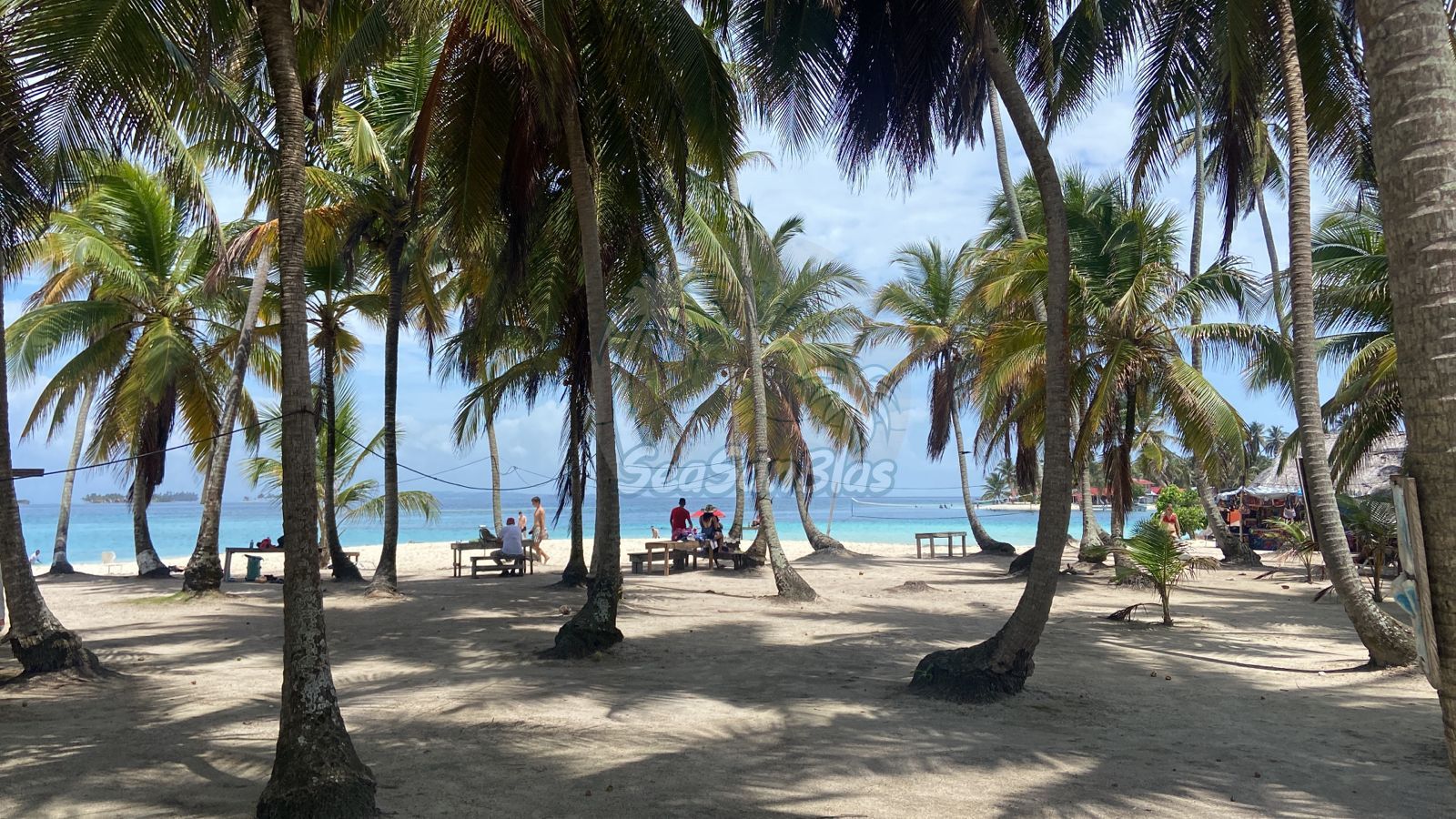 A group of people are sitting on a beach surrounded by palm trees. San Blas Islands Guna Yala San Blas Tours