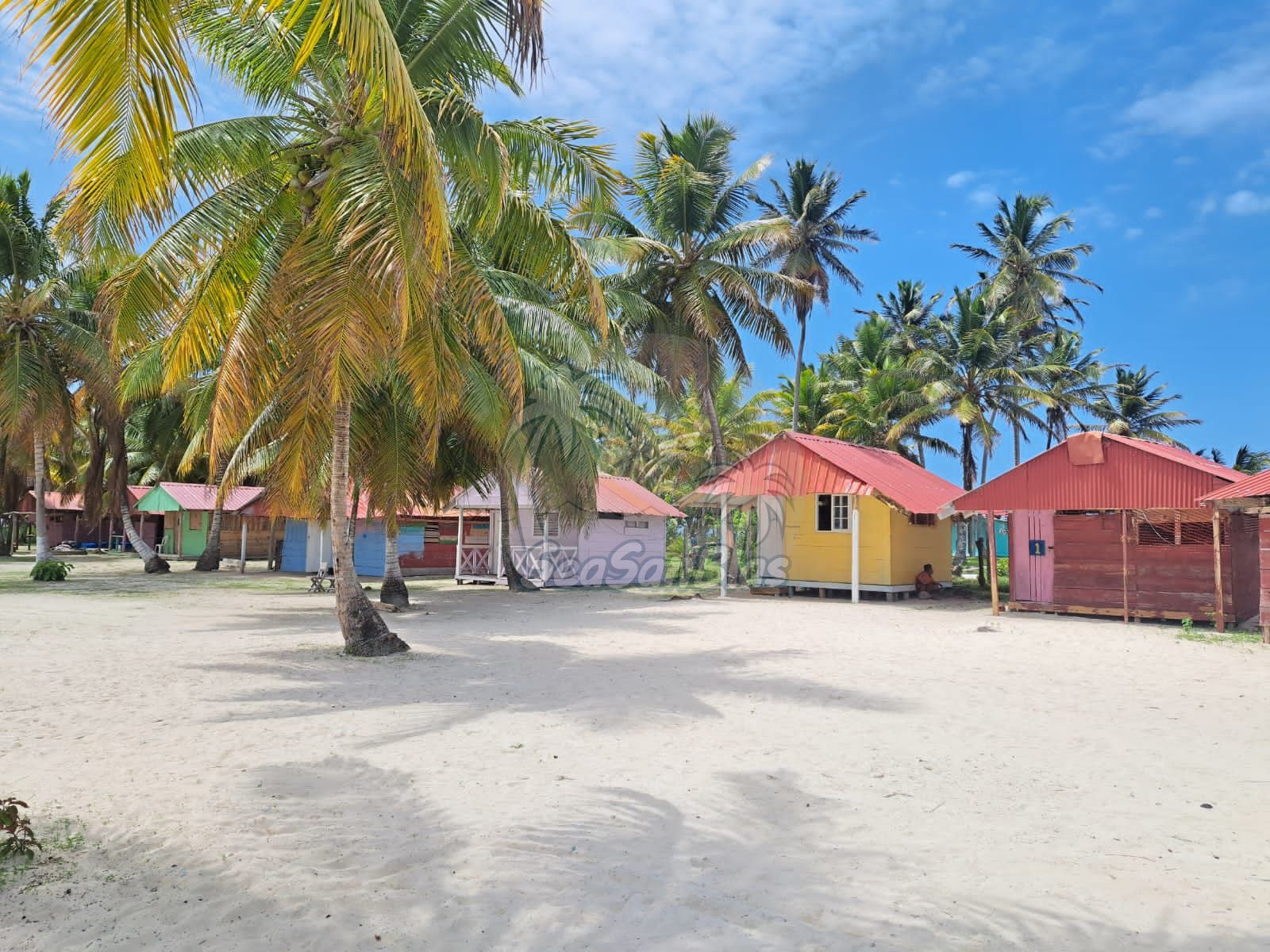 A group of houses on a beach with palm trees in the background.